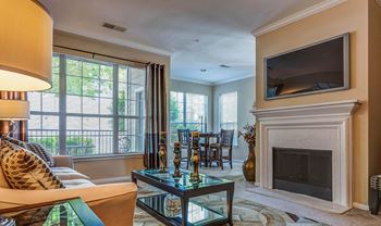 Living room with fireplace